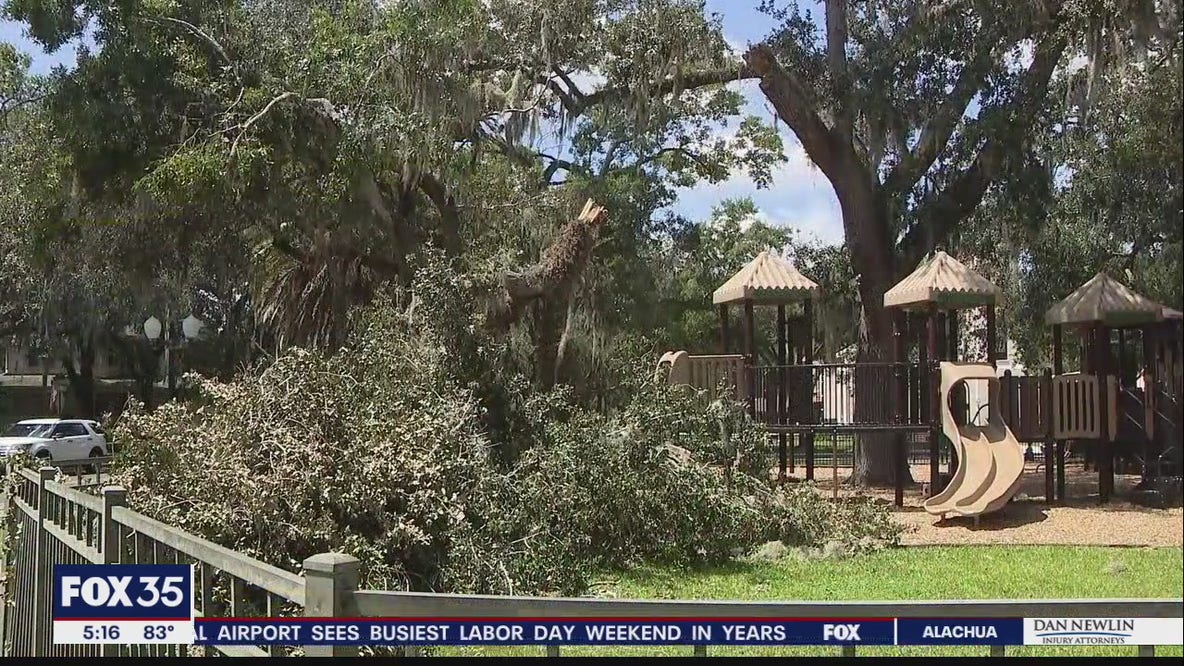 Tree limb comes crashing down at Sanford park